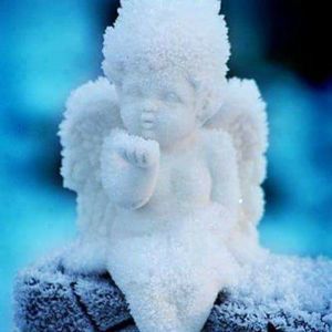 Meet your Posher, Martha